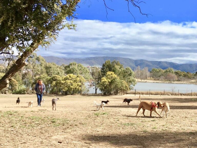 Lake Tuggeranong 768x576