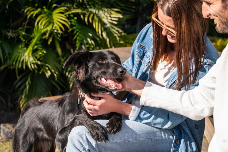 Moonee Beach Hotel 10 768x512