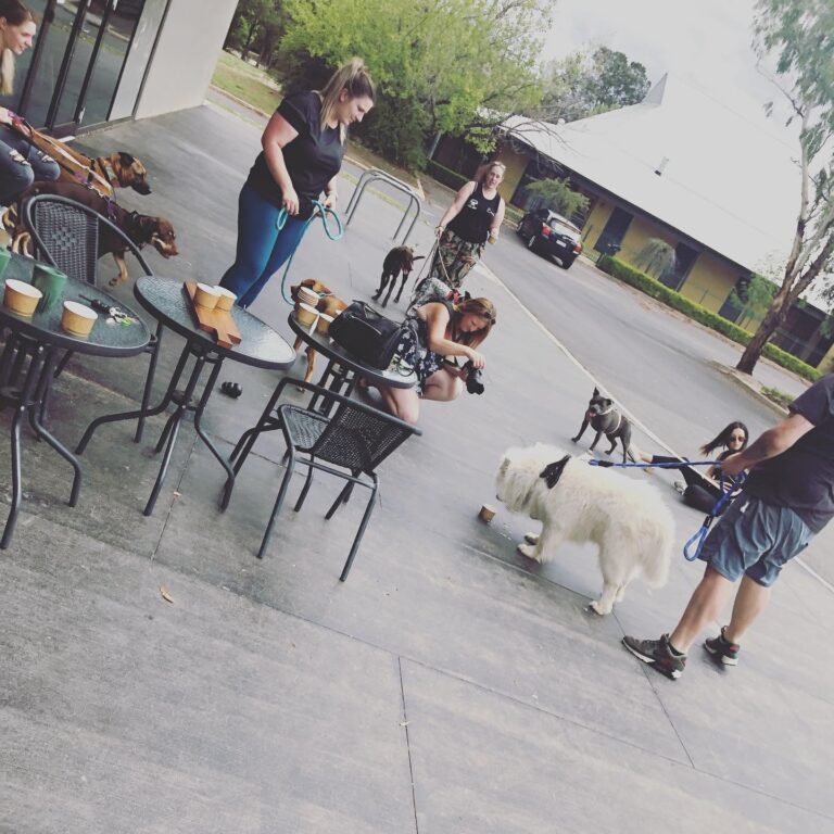 On the Grind 3 768x768