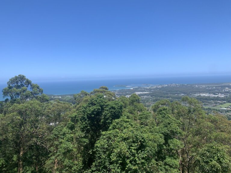 Orara East State Forest 768x576