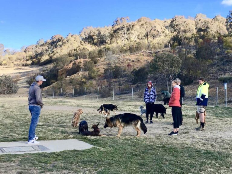 Queanbeyan Dog Park 768x576