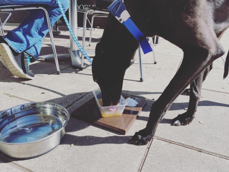 Stellas by the Lake 2 768x576