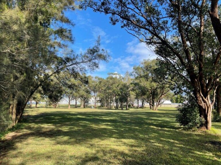 Thompsons Road Reserve 1 768x576