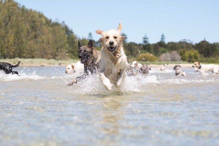 Uriarra Crossing 768x512