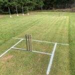 Cricket Pitch