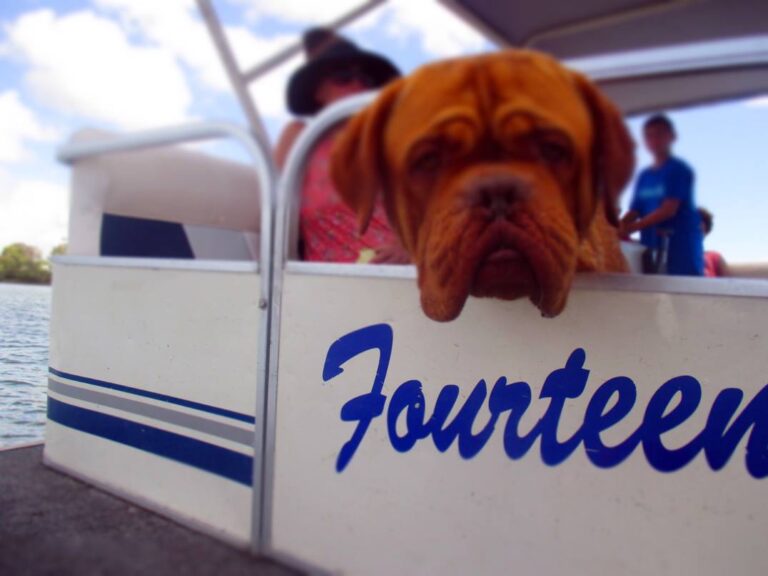 o Boat Hire 1 768x576