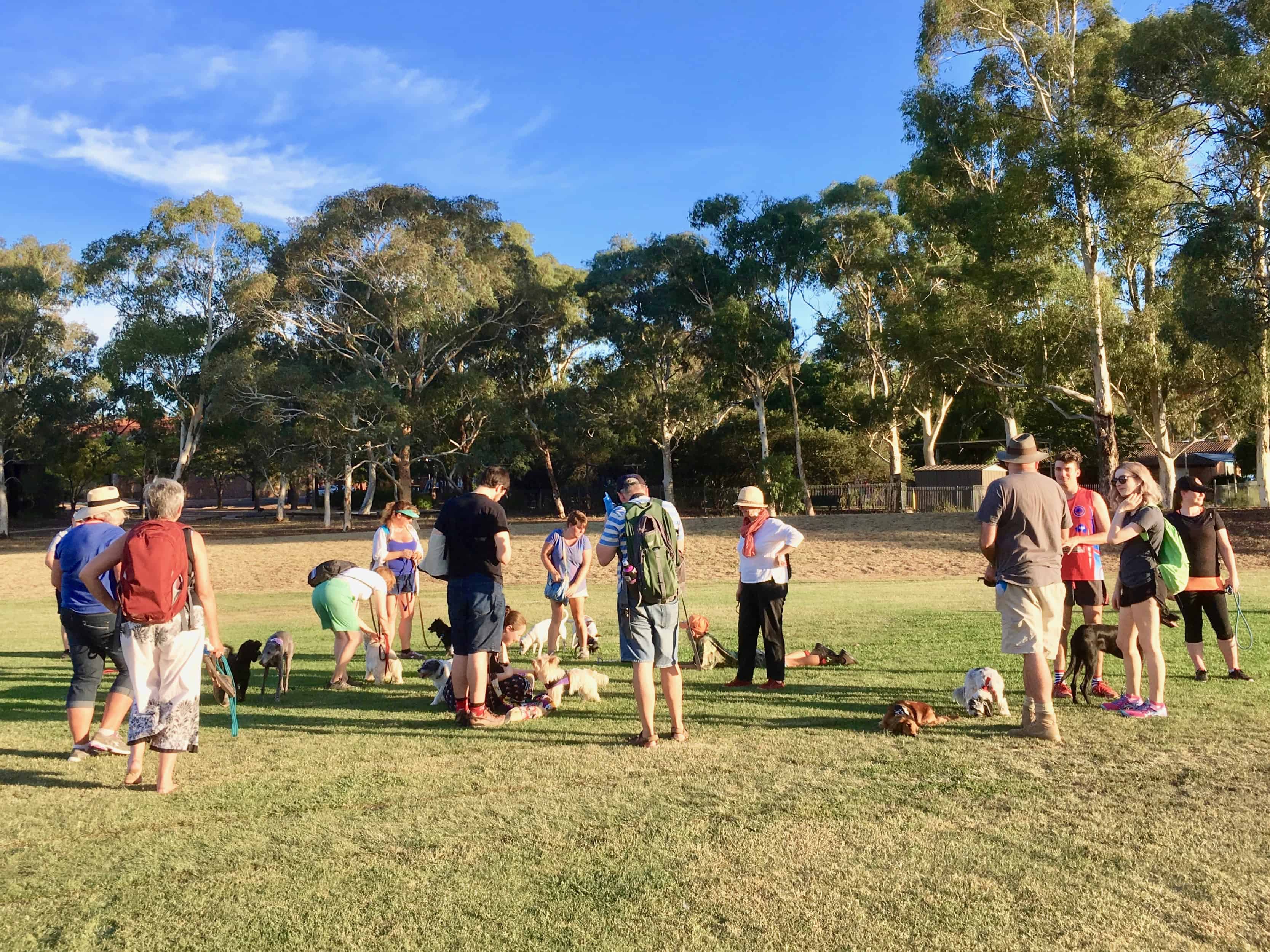 Cook Neighbourhood Oval