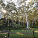 Access to Murramarang National Park from the back gate of the house