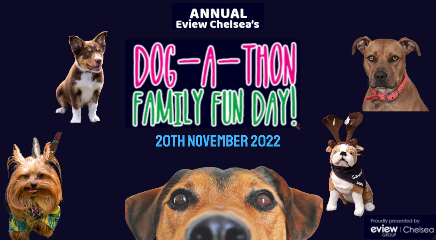 Dog a thon 2022