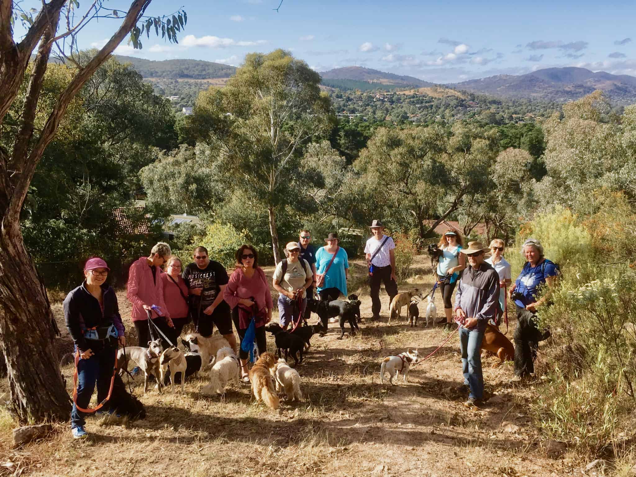 Gowrie Fadden Walk