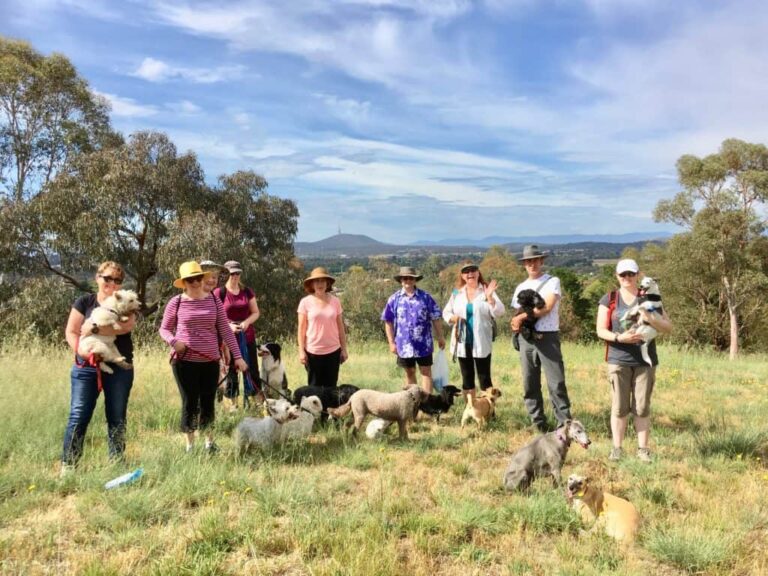 Kaleen Giralang Walk 768x576