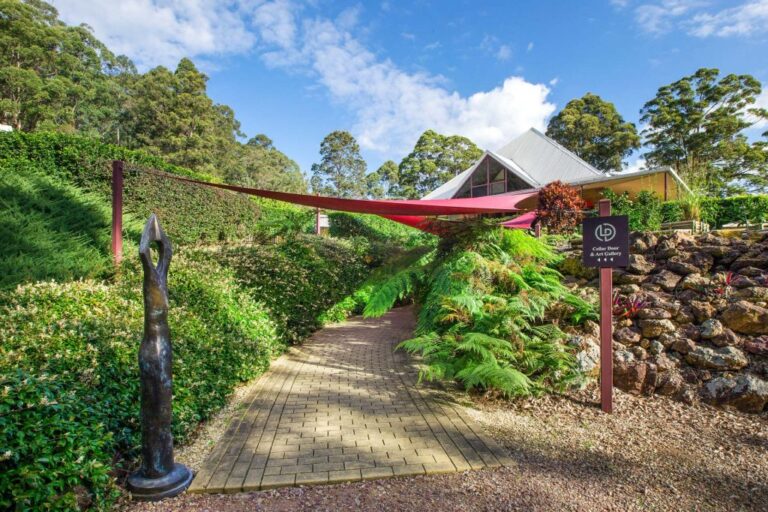 Long Point Vineyard 2 768x512