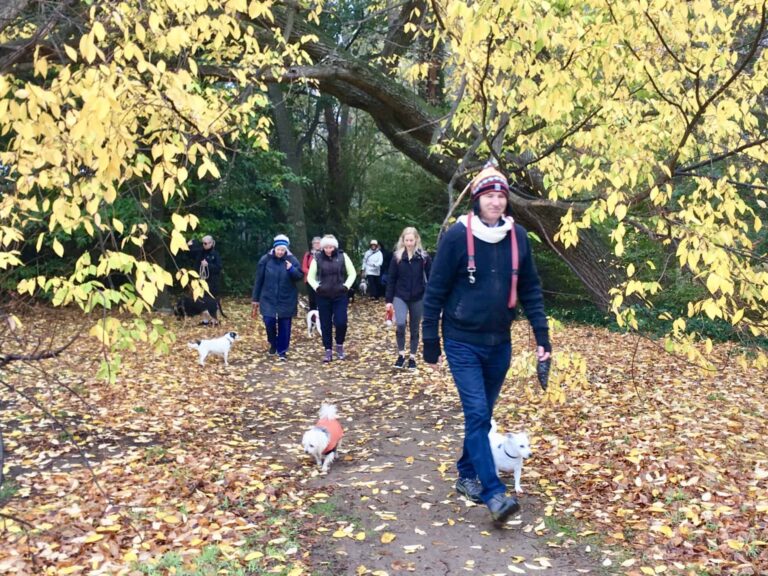 Manuka Griffith Walk 768x576