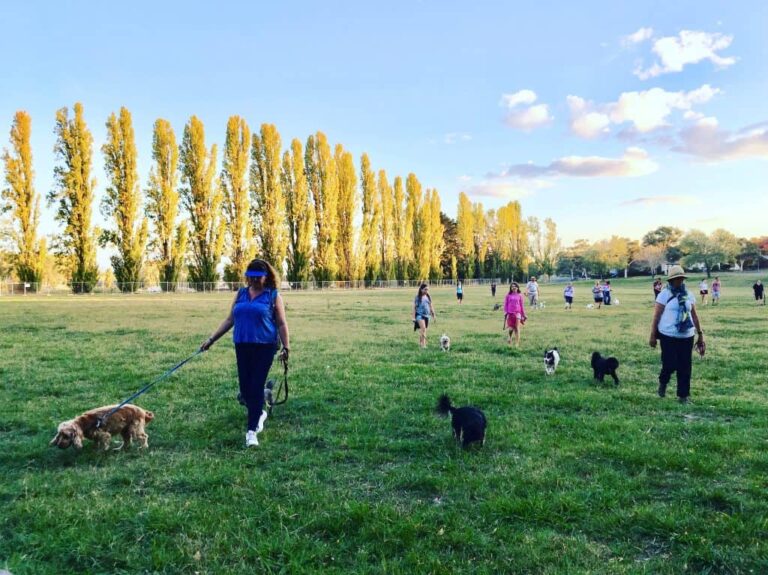 Narrabundah Walk 768x575