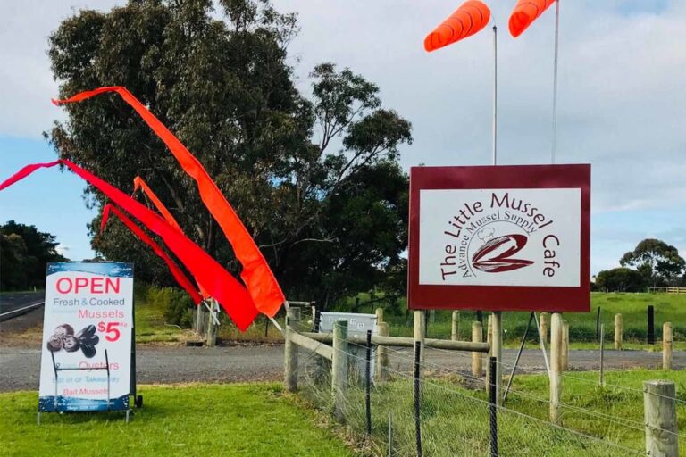 Advance Mussel Supply 1 768x512