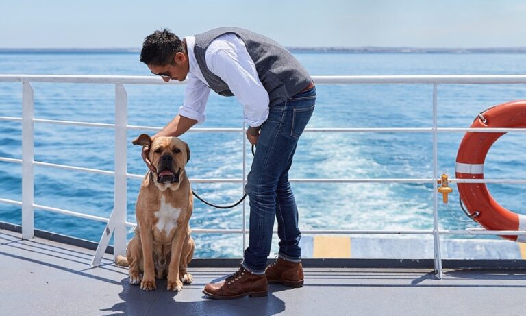 Searoad Ferries 1 106 1 768x461