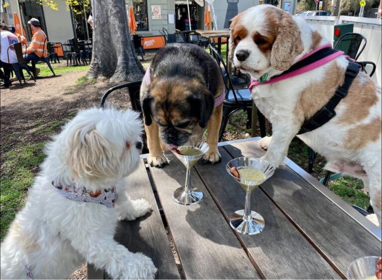 Castle Hotel 1 768x563