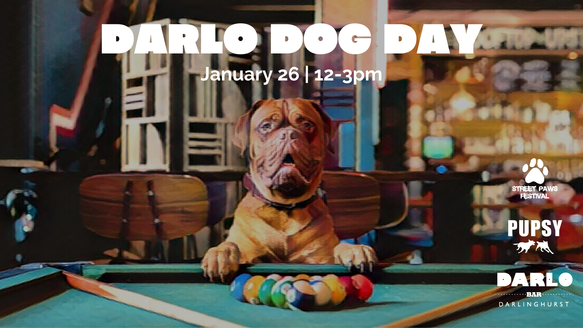 Darlo Dog Day Jan 26
