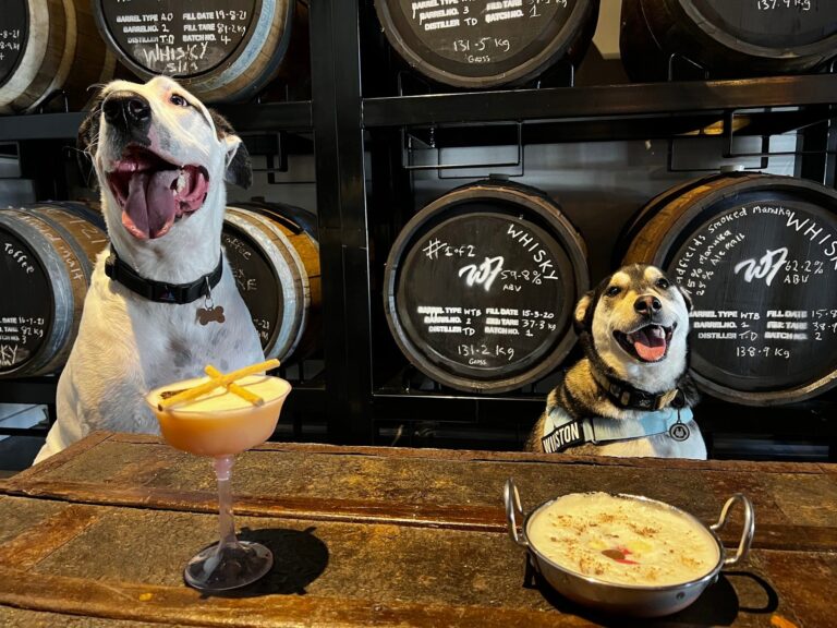 Wildflower Gin 3 768x576