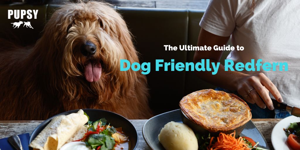dog-friendly-guide-to-redfern