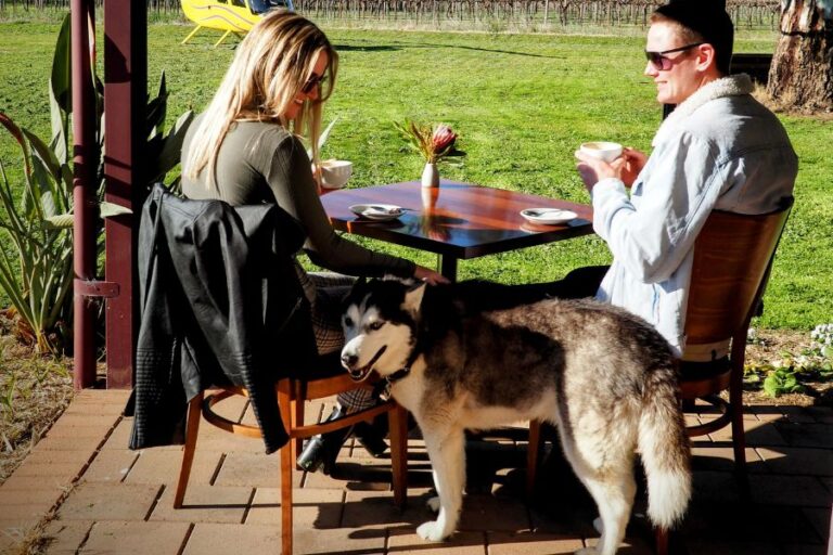 Kies Family Wines 12 768x512