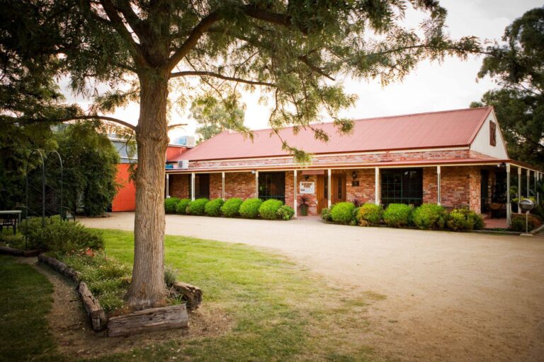 Monichino Wines 1 768x512