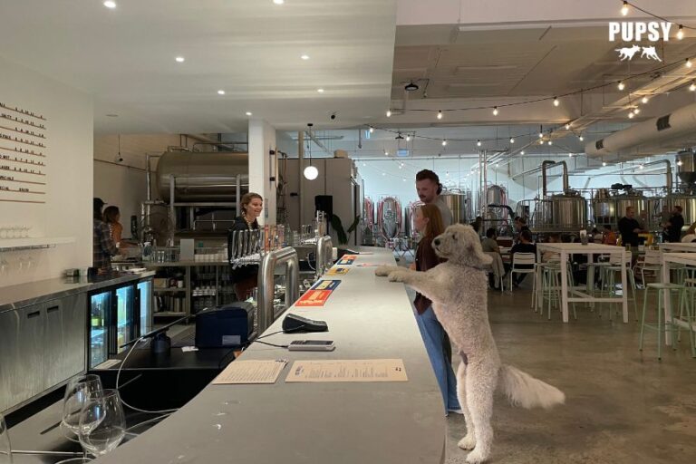 Freshwater Brewing 2 768x512