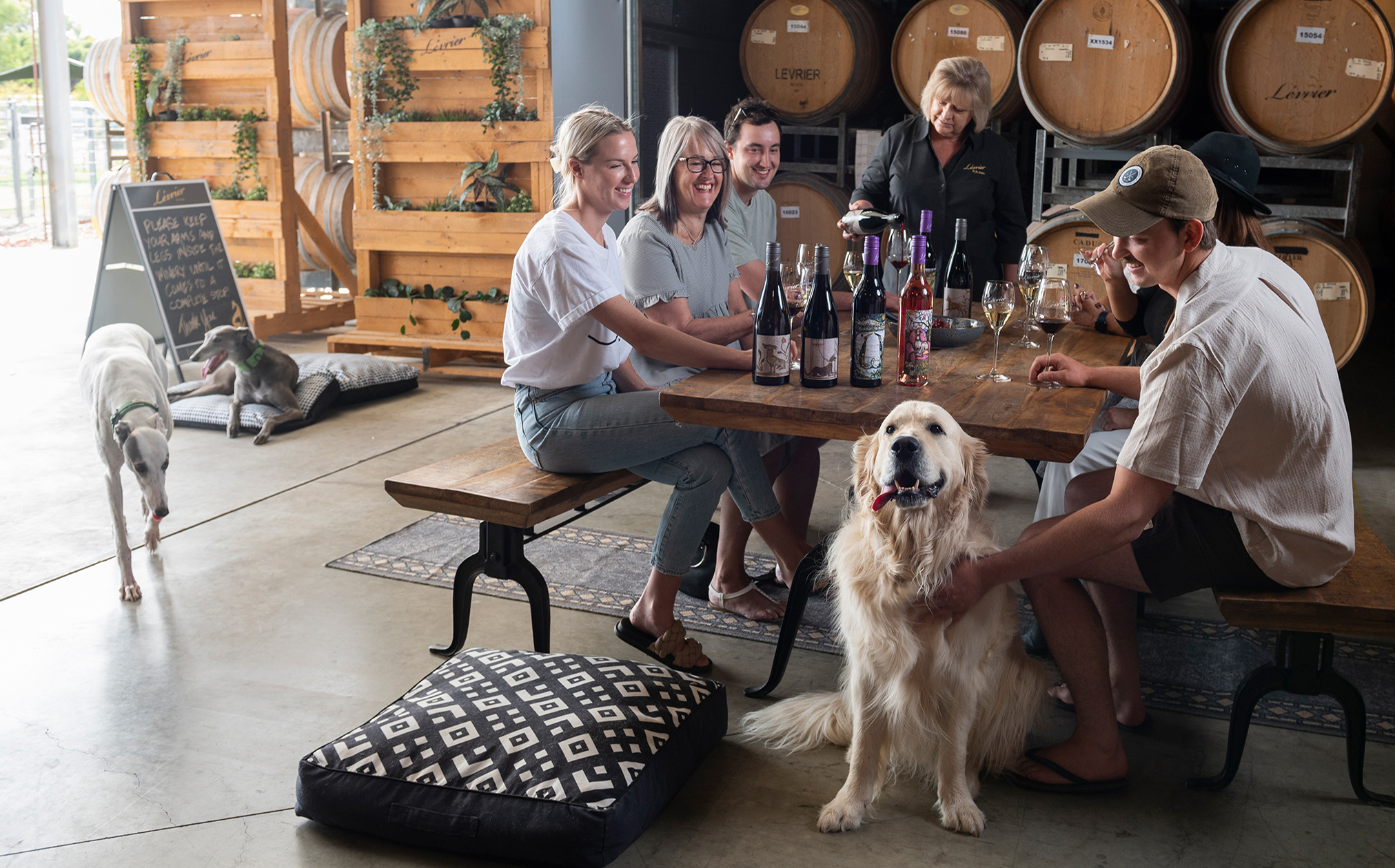 Cellar Door Tasting with Doggies cropped copy