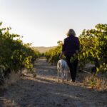 Jo and Daph in Vineyard walking landscape 150x150