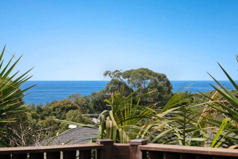 grand beach retreat dog friendly accommodation 13 768x512