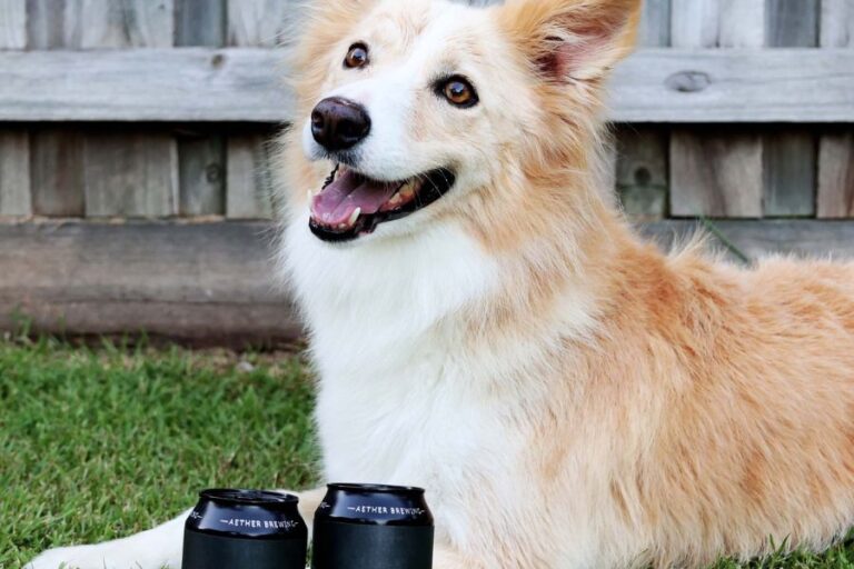 Aether Brewing 96 2 768x512