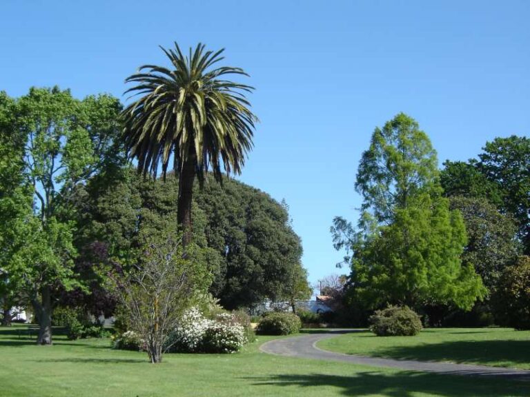 Gisborne Botanic Garden 768x576