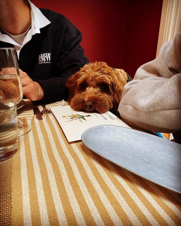 Gumnut Patisserie 1 768x960