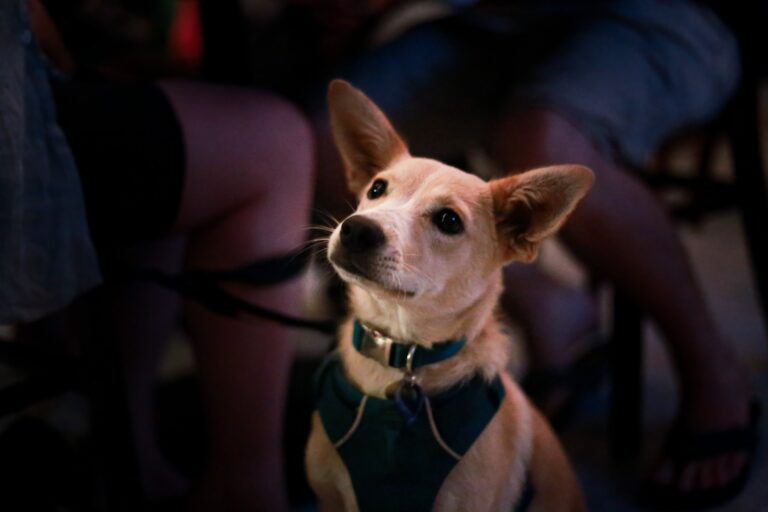 Happy Valley Brewing 4 768x512