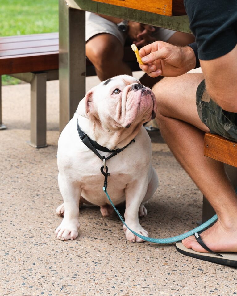 Muddys Cafe 1 768x959