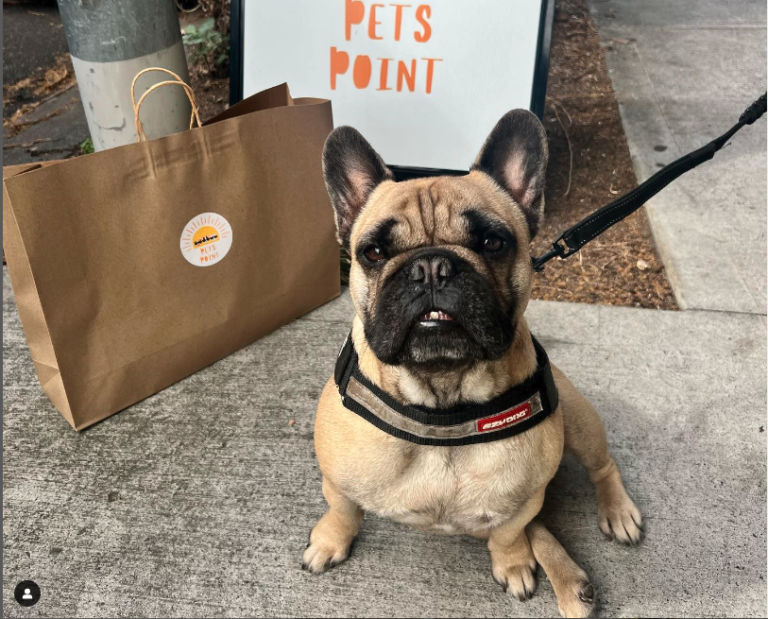 Screen Shot 2023 08 29 at 11.31.18 768x619