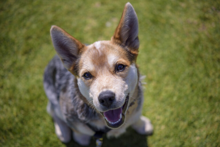 Semapaw Park 1 768x513