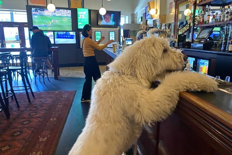 The Bridgeview Hotel Lumi 768x512