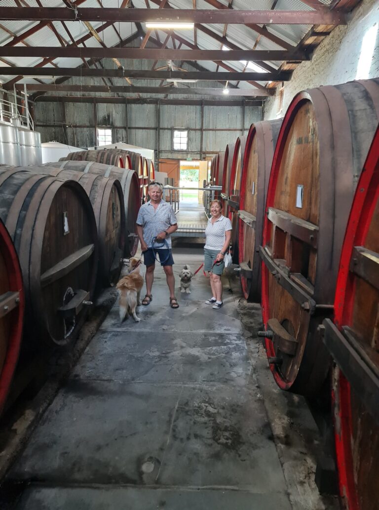 Valley Wine Tours 4 768x1033