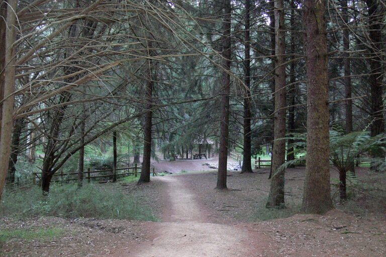 Donellys Weir 768x511