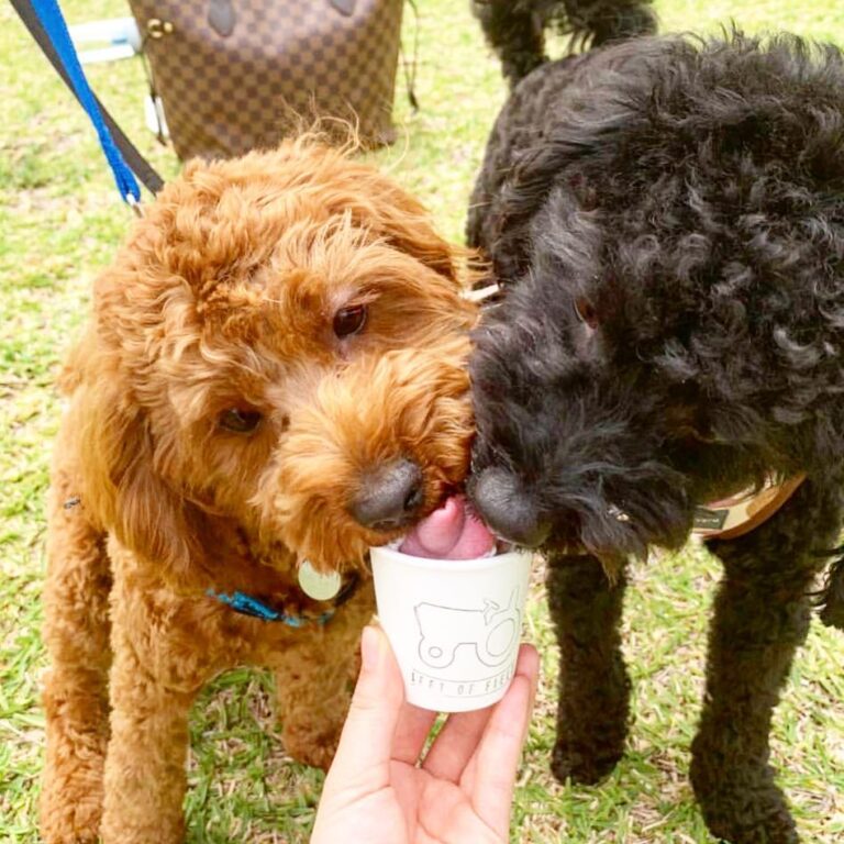 Left of Field 5 768x768