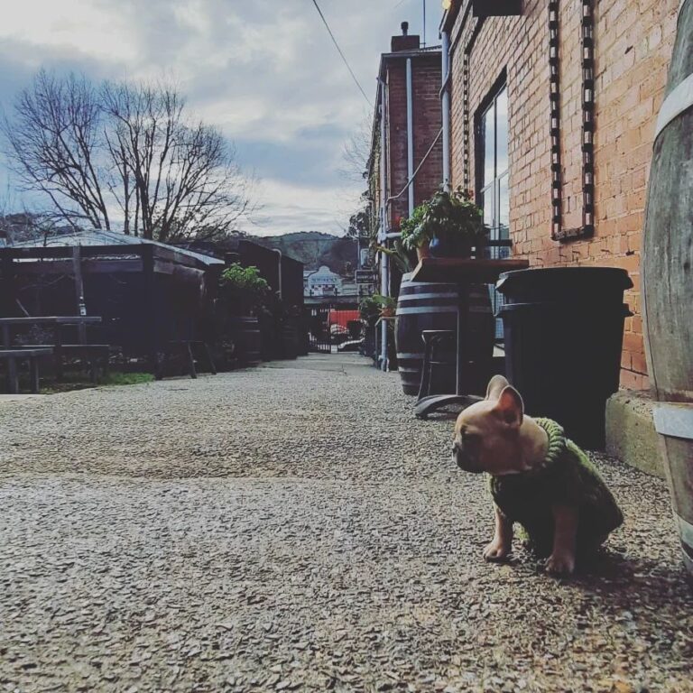 The Laneway Healesville 11 768x768