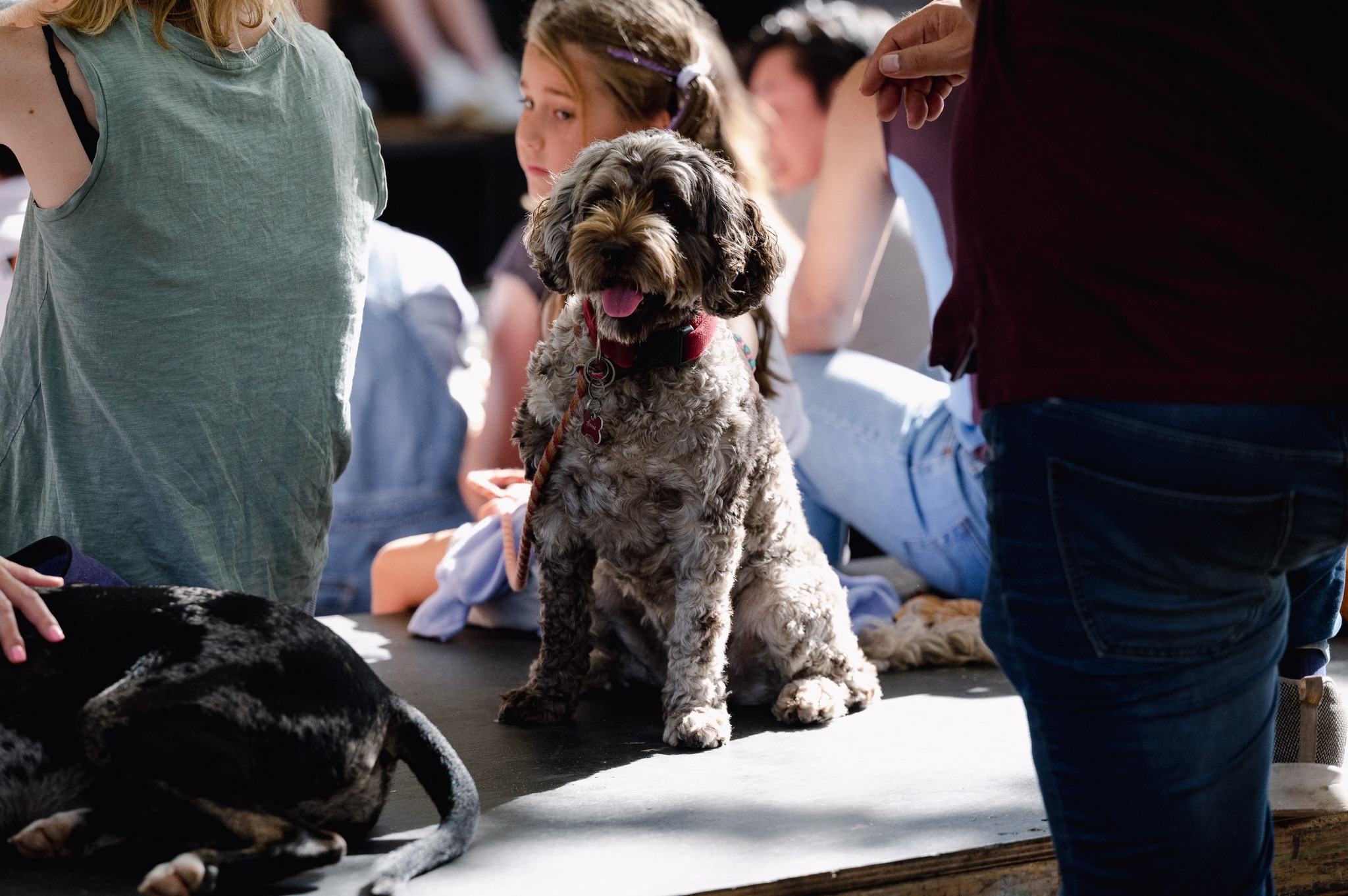 BrewDog South Eveleigh 2