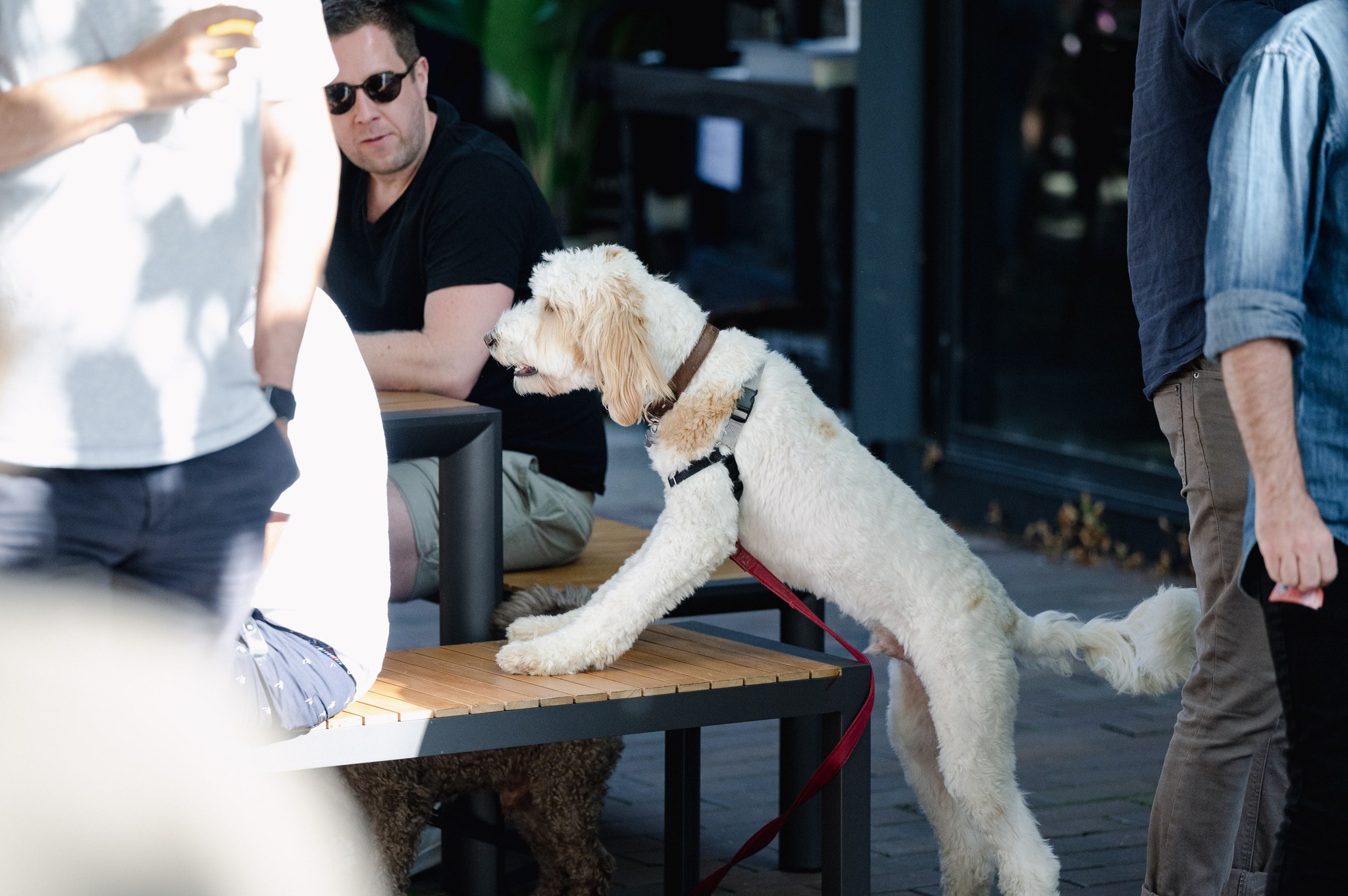 BrewDog South Eveleigh 3