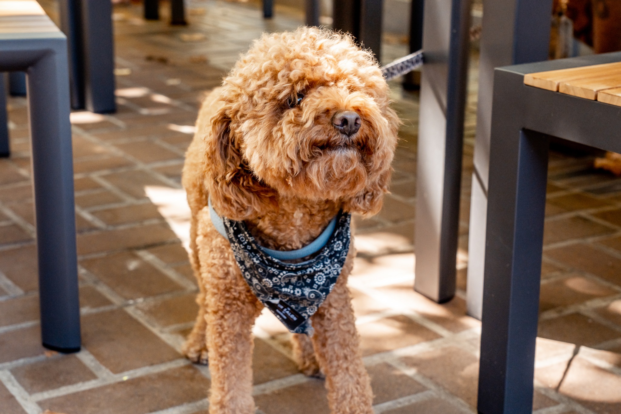 BrewDog South Eveleigh 8