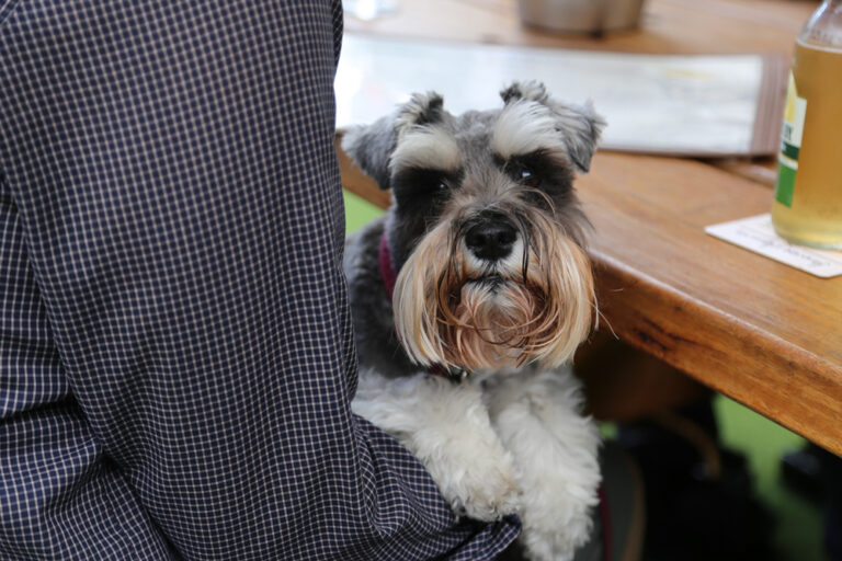 The Bassendean Hotel 20 768x512