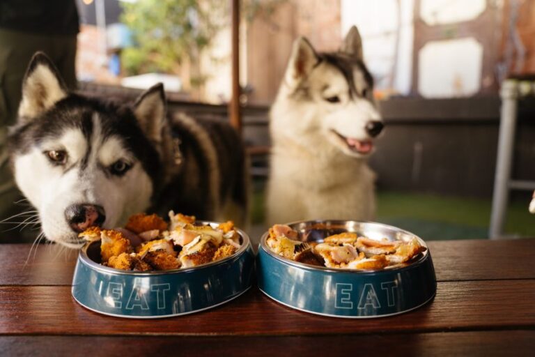 The Guilfdord Hotel 20 96 768x512