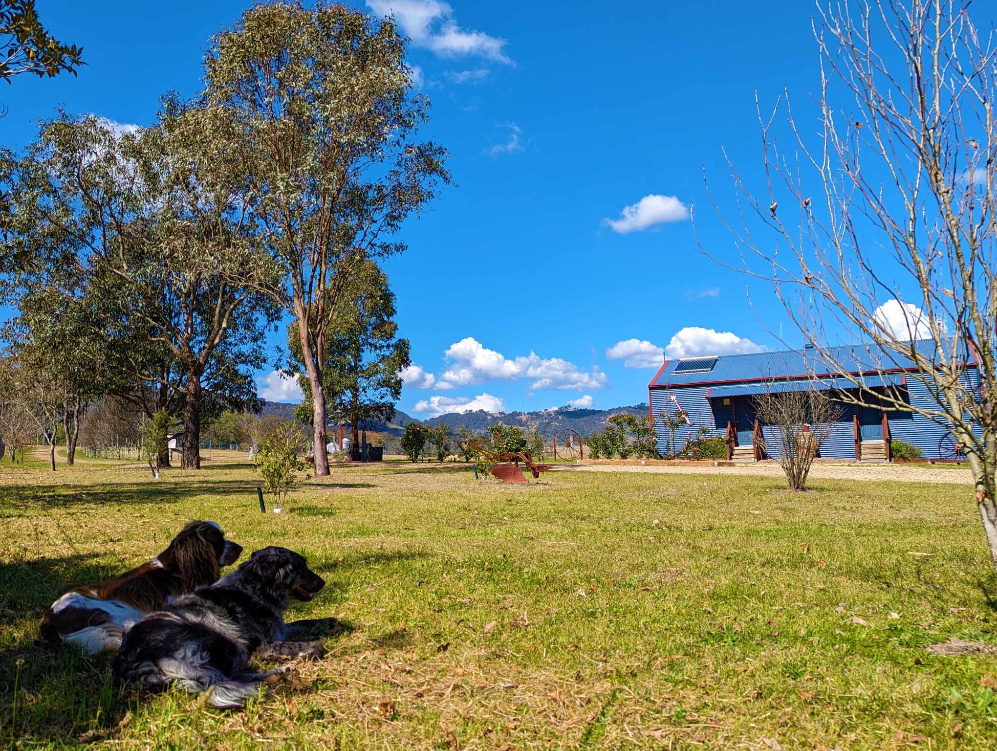 The Wattle Lodge