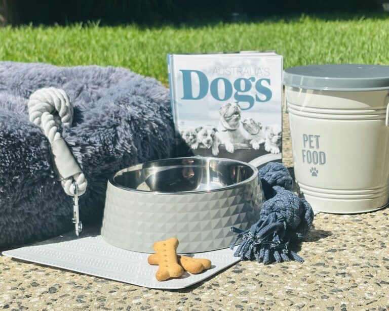 U2 moana dog friendly accommodation 3 768x615