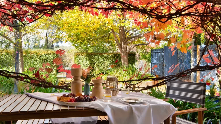 casa de fieno dog friendly accommodation 9 768x432